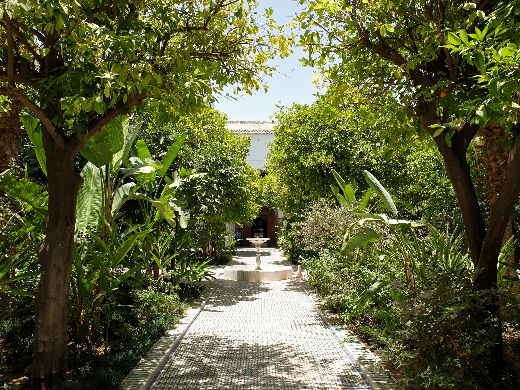 Orangenbaum-Gartenhof in Dar El Bacha